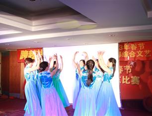 跨越祥和，超越自我—2013春節(jié)聯(lián)歡--財(cái)務(wù)處